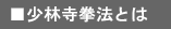 少林寺拳法とは